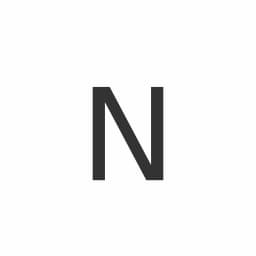 NCSi logo