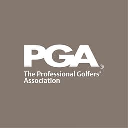 PGAGI Consultancy logo