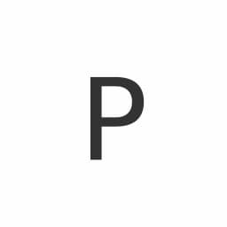 Pratyin Infotech logo